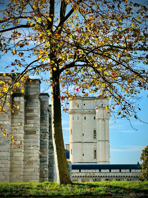 Le chà¢teau de Vincennes en automne
Vincennes 
Mots-clés: Automne Vincennes
