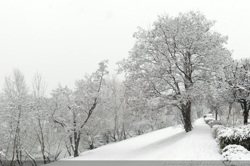 Arbre recouvert de neige sur les rives de la Marne
[L'hiver]  
Mots-clés: val_de_marne riviere marne hiver neige