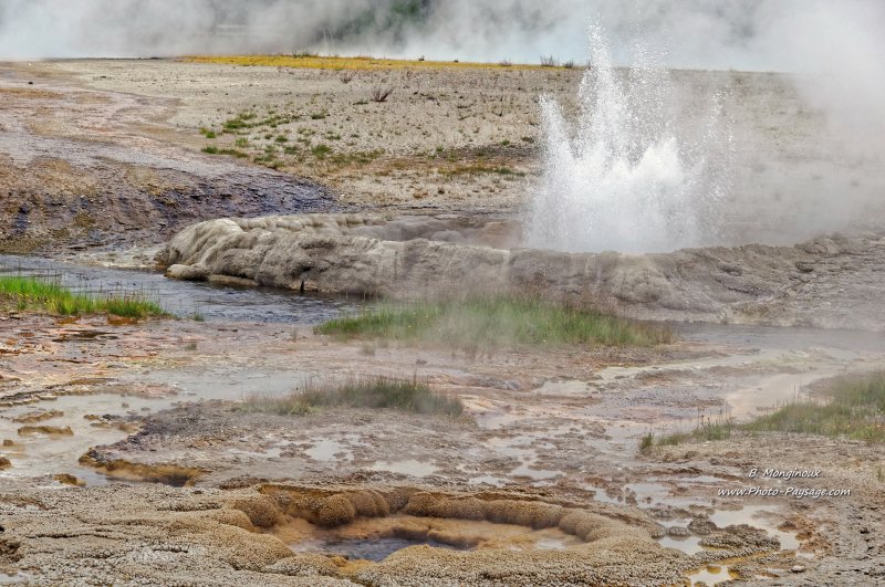 Cliff Geyser dans le Black sand basin
Black Sand Basin, parc national de Yellowstone, Wyoming, USA
Mots-clés: yellowstone wyoming usa source_thermale geyser