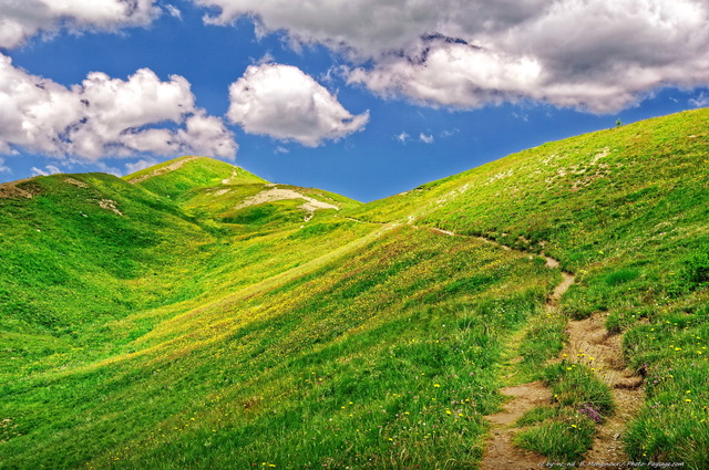 Col d'Allos : un sentier sur les crêtes
Col d'Allos (2248m)
[Parc national du Mercantour]
Mots-clés: mercantour categ_ete pissenlit prairie les_plus_belles_images_de_nature sentier regle_des_tiers