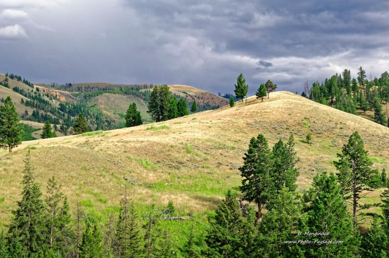Colline dans le parc national de Yellowstone
Parc national de Yellowstone, Wyoming, USA
Mots-clés: montagne_usa foret_usa usa wyoming yellowstone conifere categ_ete colline