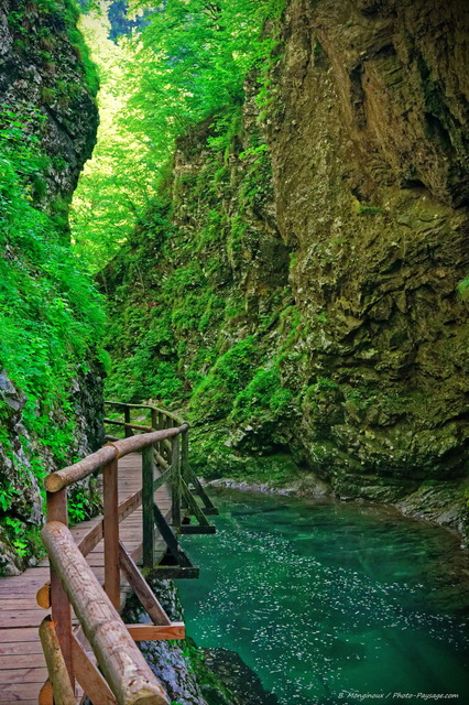 D'étroites passerelles en bois parcourent les gorges de Vintgar
Parc national du Triglav, Bled, Slovénie
Mots-clés: canyon slovenie riviere chemin categ_ete pont alpes_slovenie sentier cadrage_vertical