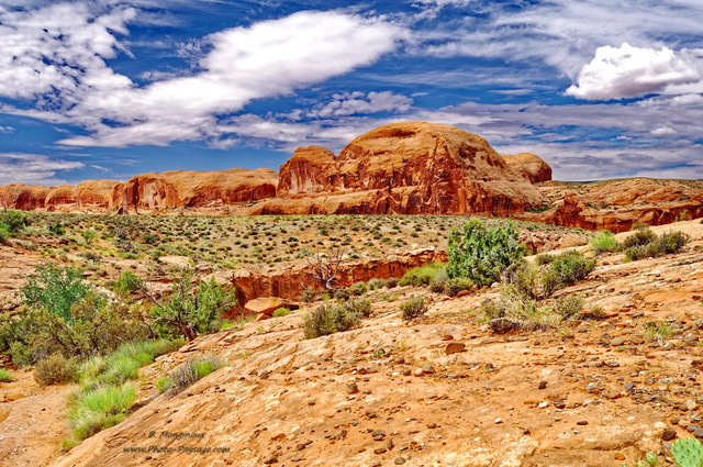 Dans le désert à  proximité de la Corona Arch  
Moab, Utah
Mots-clés: utah moab desert