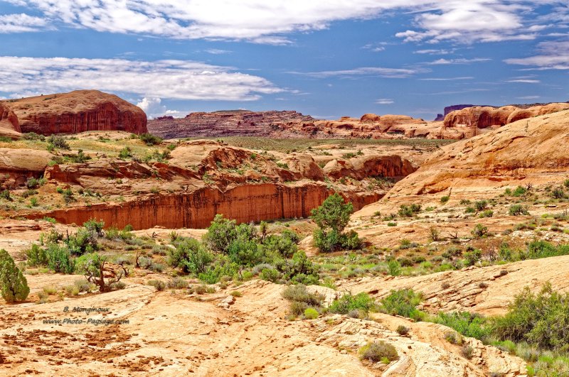 Dans le désert à proximité de la Corona Arch 
Moab, Utah
Mots-clés: utah moab desert