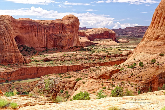 Dans le désert à  proximité de la Corona Arch 
Moab, Utah
Mots-clés: utah moab desert