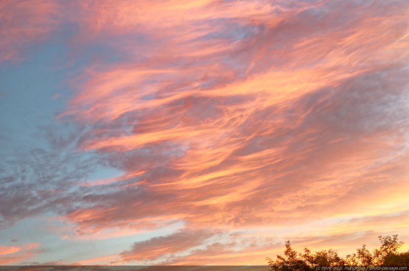 De beaux nuages d'altitude dans un ciel d'aurore teinté de rose
Mots-clés: aurore ciel nuage