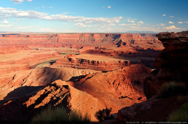 Un panorama vertigineux
Dead Horse Point state park (Canyonlands), Utah, USA
Mots-clés: USA etats-unis utah fleuve_colorado canyon desert