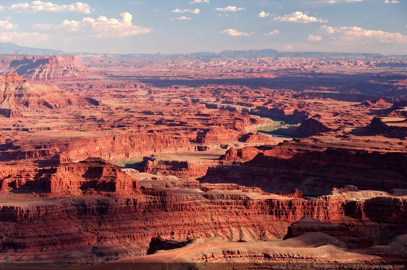 Les méandres du Colorado s'étendent à perte de vue
Dead Horse Point state park (Canyonlands), Utah, USA
Mots-clés: USA etats-unis utah fleuve_colorado desert canyon desert