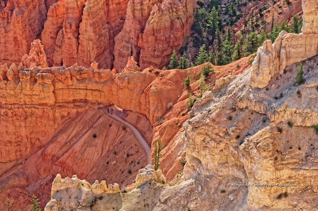 Des randonneurs sur un sentier de Bryce Canyon
Bryce Canyon National Park, Utah, USA
Mots-clés: utah usa hoodoo sentier