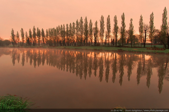 Des peupliers qui se reflètent à  travers la brume matinale dans un lac en Bretagne
Mots-clés: les_plus_belles_images_de_nature peuplier matin aube aurore bretagne nature brume lever_de_soleil alignement_d_arbre reflets