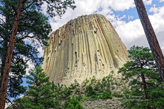 Devils Tower national monument
Devils Tower national monument, Wyoming, USA
Mots-clés: wyoming categ_ete montagne_usa les_plus_belles_images_de_nature