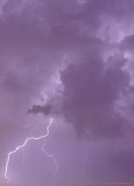 Eclair et nuage d'orage dans la nuit
Mots-clés: nuage orage nuit eclair ciel cadrage_vertical