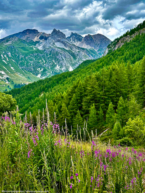 Un été en Savoie
Tignes, Savoie
Mots-clés: Cadrage_vertical categ_ete foret_alpes Savoie fleur-de-montagne les_plus_belles_images_de_nature