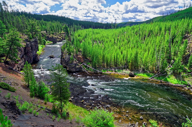 Firehole river 1
Parc national de Yellowstone, Wyoming, USA
Mots-clés: yellowstone riviere usa wyoming canyon categ_ete foret_usa montagne_usa conifere