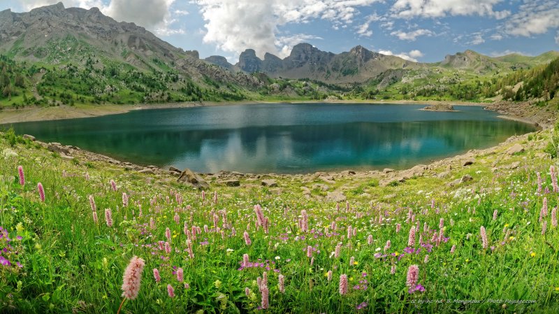 Fleurs de montagne (renouées bistortes) au bord du lac d'Allos
Le lac d'Allos est le plus grand lac naturel d'altitude d'Europe (situé à 2220 m d'altitude). Il est situé dans le parc national du Mercantour, dans les Alpes-de-Haute-Provence.
Mots-clés: categ_ete photo_panoramique categorielac fleur-de-montagne