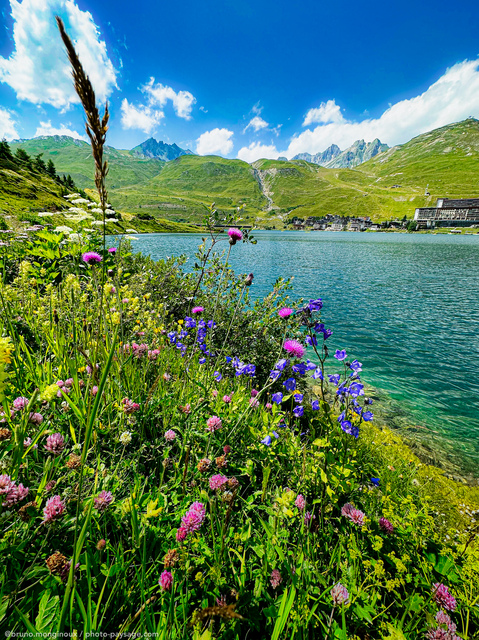 Fleurs de montagne au bord du lac de Tignes
Tignes, Savoie
Mots-clés: Savoie Alpes categ_ete cadrage_vertical categorielac fleur-de-montagne les_plus_belles_images_de_nature