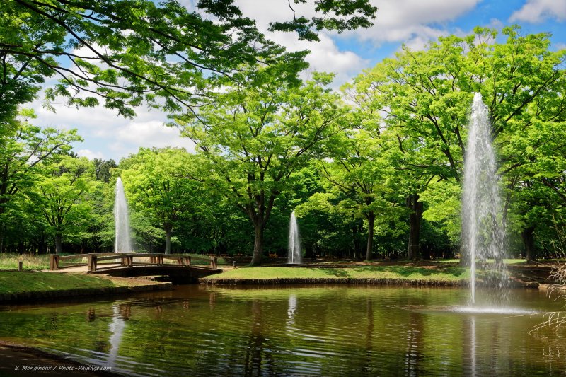 Fontaines dans le parc Yoyogi-koen
Tokyo (quartier de Shibuya), Japon
Mots-clés: pont fontaine categorielac printemps plus_belles_images_de_printemps