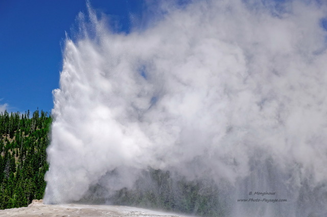 Geyser Old Faithful
Old Faithful est le geyser le plus célèbre de Yellowstone. Ses éruptions à  intervales réguliers atteignent jusqu'à  une cinquantaine de mètres de hauteur.

Parc national de Yellowstone, Wyoming, USA
Mots-clés: geyser yellowstone usa wyoming source_thermale les_plus_belles_images_de_nature