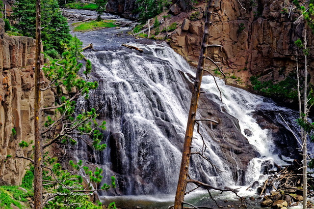 Gibbon falls
Parc national de Yellowstone, Wyoming, USA
Mots-clés: yellowstone cascade usa wyoming canyon categ_ete