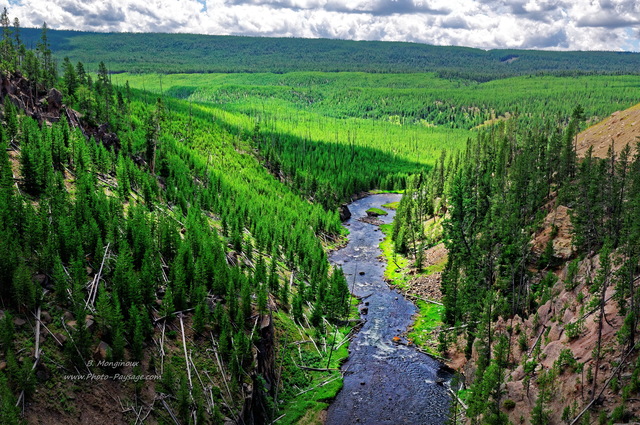 Gibbon river
Parc national de Yellowstone, Wyoming, USA
Mots-clés: yellowstone riviere usa wyoming canyon categ_ete conifere foret_usa montagne_usa les_plus_belles_images_de_nature