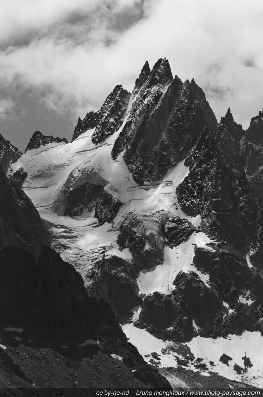 Glaciers et neiges éternelles
Massif du Mont-Blanc, Haute-Savoie (France)
Mots-clés: montagne alpes nature haute_savoie chamonix categ_ete neige cadrage_vertical noir-et-blanc noir_et_blanc
