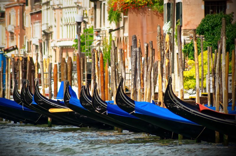 Gondoles à Venise -05
Venise, Italie
Mots-clés: italie venise gondole canal cite_des_doges unesco_patrimoine_mondial bateau