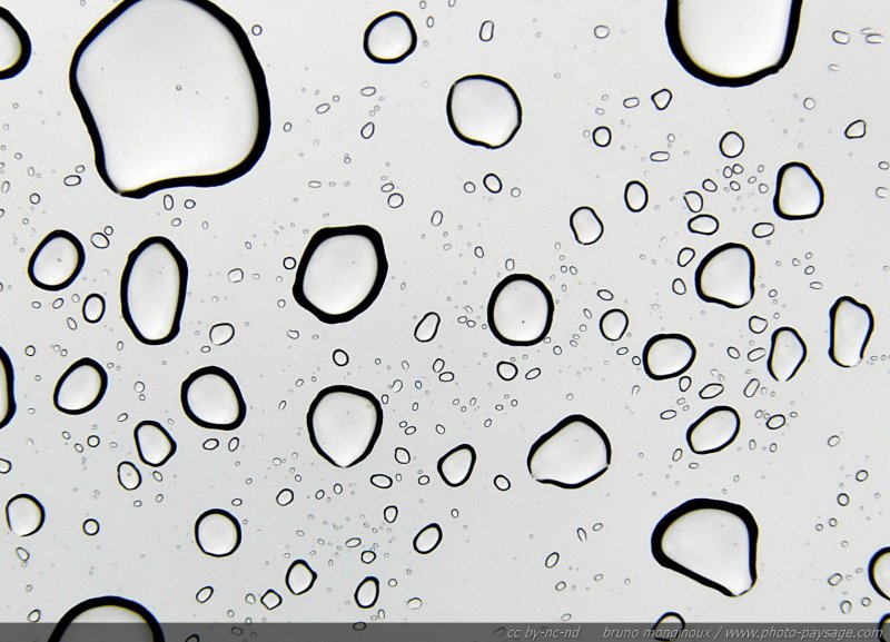 Gouttes de pluie  -02
Des gouttes de pluie photographiées sous une vitre lors d'une grosse averse.
Mots-clés: pluie goutte vitre transparence