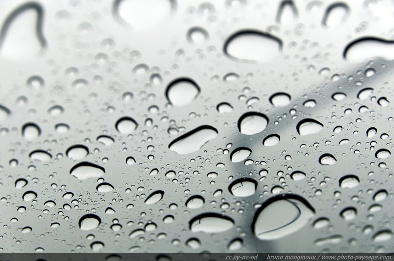 Gouttes de pluie -04
Des gouttes de pluie photographiées sous une vitre lors d'une grosse averse.
Mots-clés: pluie goutte vitre transparence