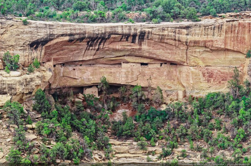 Habitats troglodytes
Parc national de Mesa Verde, Colorado, USA
Mots-clés: etat_colorado usa categ_ete montagne_usa falaise
