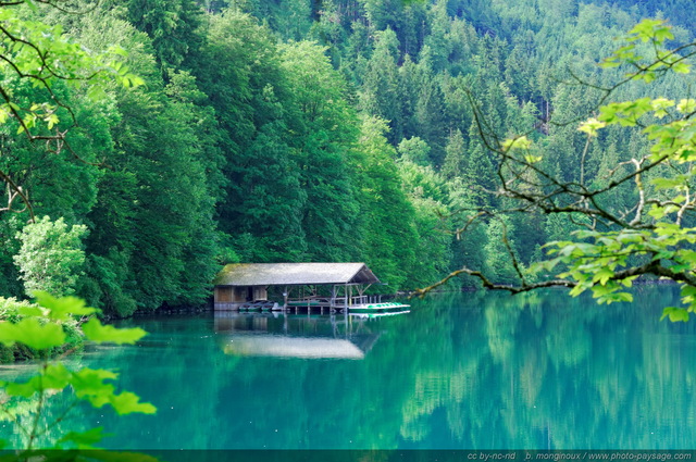 Hangar à  bateaux au bord du lac
Alpsee bei Schwangau, Bavière, Allemagne
Mots-clés: allemagne baviere foret_alpes categ_ete categorielac reflets bateau