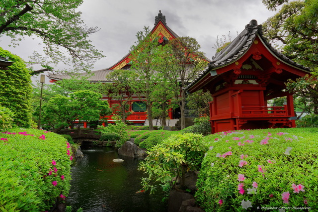 Jardin japonais à proximité du temple Senso-Ji
Tokyo (quartier d'Asakusa), Japon
