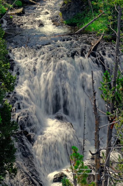 Kepler cascades
Parc national de Yellowstone, Wyoming, USA
Mots-clés: yellowstone cascade usa wyoming canyon categ_ete riviere montagne_usa cadrage_vertical