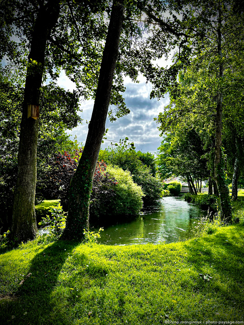 L'Yère
Criel-sur-mer, Haute-Normandie 
Mots-clés: riviere categ_ete normandie cadrage_vertical les_plus_belles_images_de_nature