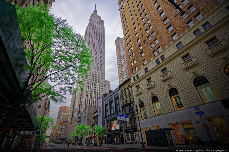 L'Empire State Building vu depuis la 34° rue ouest
Manhattan, New York, USA
Mots-clés: new-york usa printemps les_plus_belles_images_de_ville regle_des_tiers