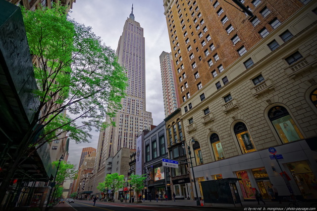 L'Empire State Building vu depuis la 34° rue ouest
Manhattan, New York, USA
Mots-clés: new-york usa printemps les_plus_belles_images_de_ville regle_des_tiers