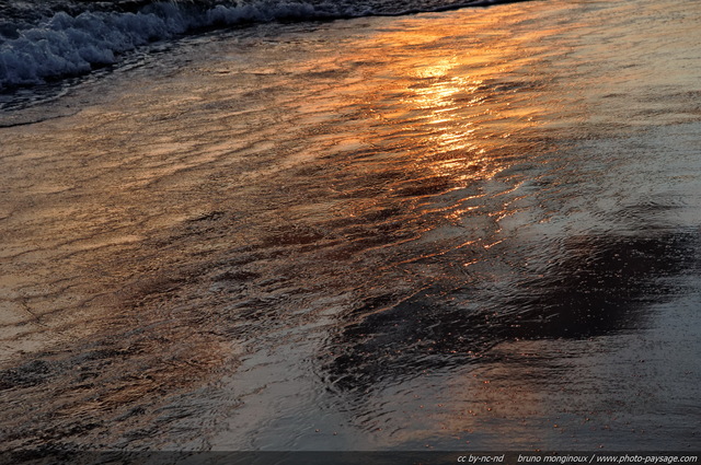 L'aller retour des vagues laisse de superbes reflets de soleil couchant sur le sable mouillé
Massif dunaire de l'Espiguette
Le Grau du Roi / Port Camargue (Gard). 
Mots-clés: camargue gard mediterranee littoral mer plage sable reflets languedoc_roussillon