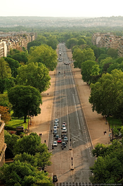 L'avenue Foch
Une avenue bordé de nombreux arbres. 
En arrière plan dans la brume : la canopée du Bois de Boulogne
[Paris photographié depuis le toit de l'Arc de Triomphe]

Mots-clés: paris paysage_urbain cadrage_vertical