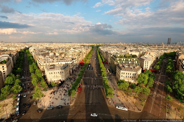 L'ombre portée de l'Arc de Triomphe sur les Champs Elysées
De gauche à  droite :
L'avenue de Friedland, les Champs Elysées, et l'Avenue Marceau

[Paris photographié depuis le toit de l'Arc de Triomphe]

Mots-clés: paris paysage_urbain grand-angle ombre