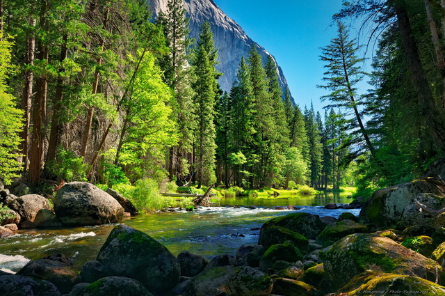 La Merced River
Yosemite National Park, Californie, USA
Mots-clés: USA etats-unis californie riviere yosemite categ_ete foret_usa