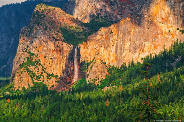 La cascade de Bridalveil Fall
Yosemite National Park, Californie, USA
Mots-clés: USA etats-unis californie yosemite cascade categ_ete foret_usa montagne_usa