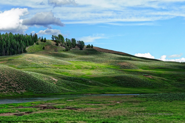 La rivière de Yellowstone au pied de collines verdoyantes
Vallée de Hayden, Parc national de Yellowstone, Wyoming, USA
Mots-clés: yellowstone wyoming usa riviere campagne_usa categ_ete herbe prairie les_plus_belles_images_de_nature