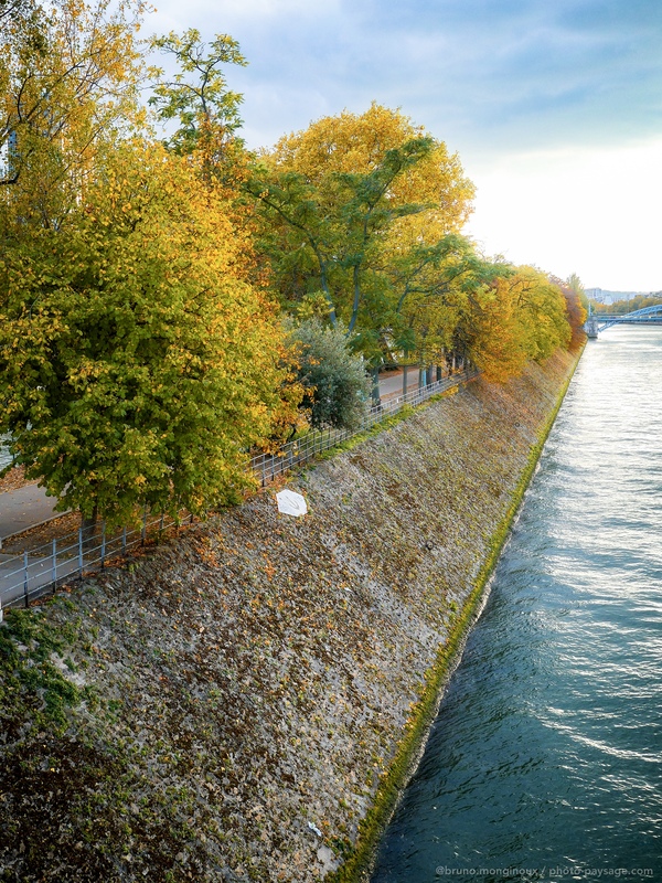 L’allée des cygnes et la Seine en automne 
Paris 
Mots-clés: Automne la_seine cadrage_vertical belles-photos-automne