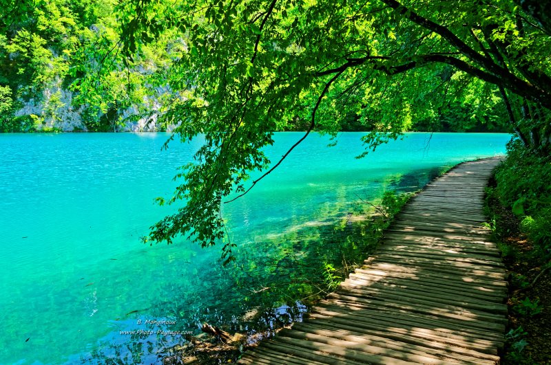 Promenade au bord d'un lac bleu turquoise...
Parc National de Plitvice, Croatie


Mots-clés: croatie plitvice UNESCO_patrimoine_mondial nature croatie