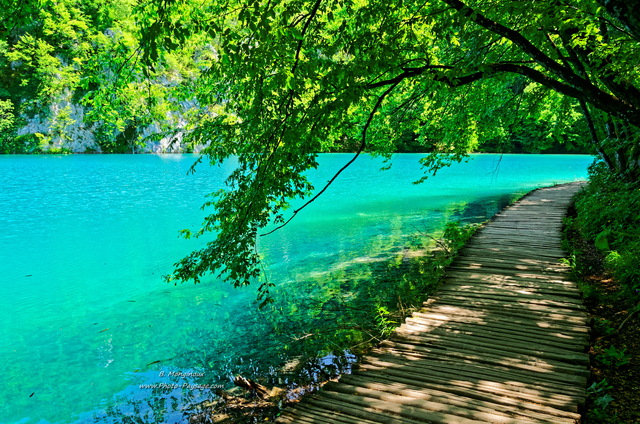 Promenade au bord d'un lac bleu turquoise...
Parc National de Plitvice, Croatie


Mots-clés: croatie plitvice UNESCO_patrimoine_mondial nature croatie