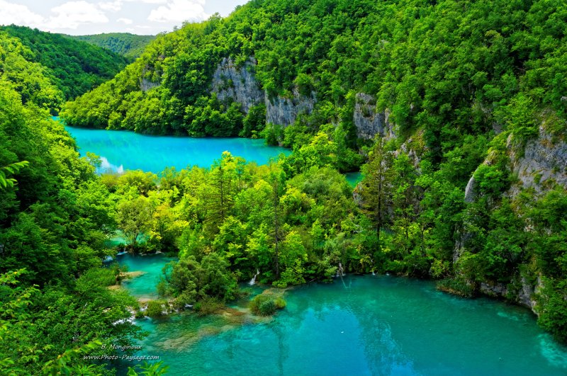 Les lacs inférieurs de Plitvice, séparés par une barrière naturelle de travertin
Parc National de Plitvice, Croatie


Mots-clés: croatie plitvice UNESCO_patrimoine_mondial nature croatie