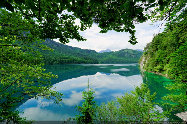 Lac Alpsee en Bavière
Schwangau, Bavière, Allemagne
Mots-clés: allemagne baviere foret_alpes categ_ete categorielac reflets les_plus_belles_images_de_nature