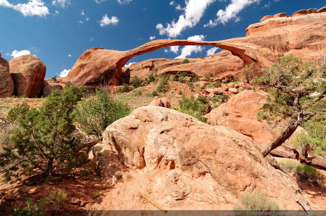 Landscape Arch, la plus grande arche naturelle du monde
Arches National Park, Utah, USA
Mots-clés: USA etats-unis utah arche_naturelle landscape_arch categ_ete desert