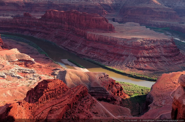 Le Colorado
Dead Horse Point state park (Canyonlands), Utah, USA
Mots-clés: USA etats-unis utah fleuve_colorado canyon