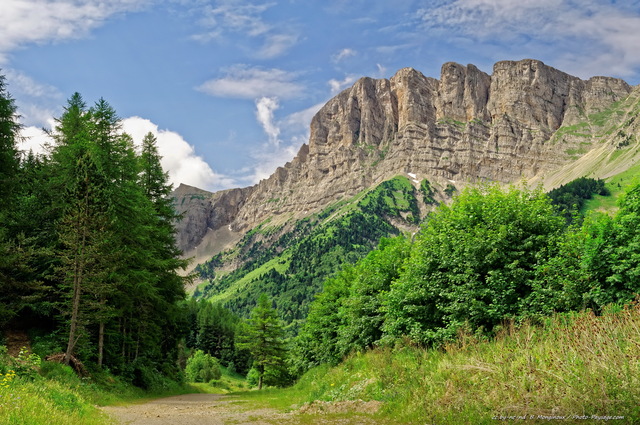 Le Grand Veymont (2 341 m)
Vu depuis Gresse-en-Vercors, Isère, France
[Montagnes du Vercors]

Mots-clés: forets_du_vercors categ_ete chemin falaise