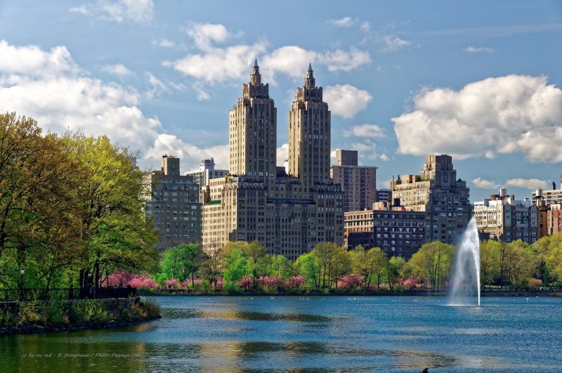 Le Jacqueline Kennedy Onassis reservoir dans Central Park
Central Park, New-York, USA
Mots-clés: Park New-York USA printemps fontaine categorielac arbre_en_fleur les_plus_belles_images_de_ville